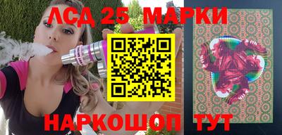 гашик Моздок