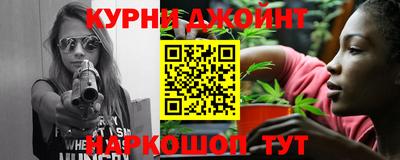 гашик Моздок
