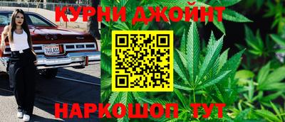 гашик Моздок