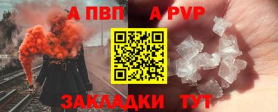 гашик Моздок