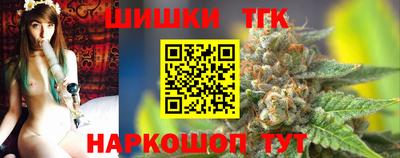 гашик Моздок