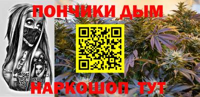 прущие грибы Можга