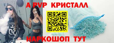 гашик Моздок
