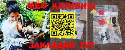гашик Моздок