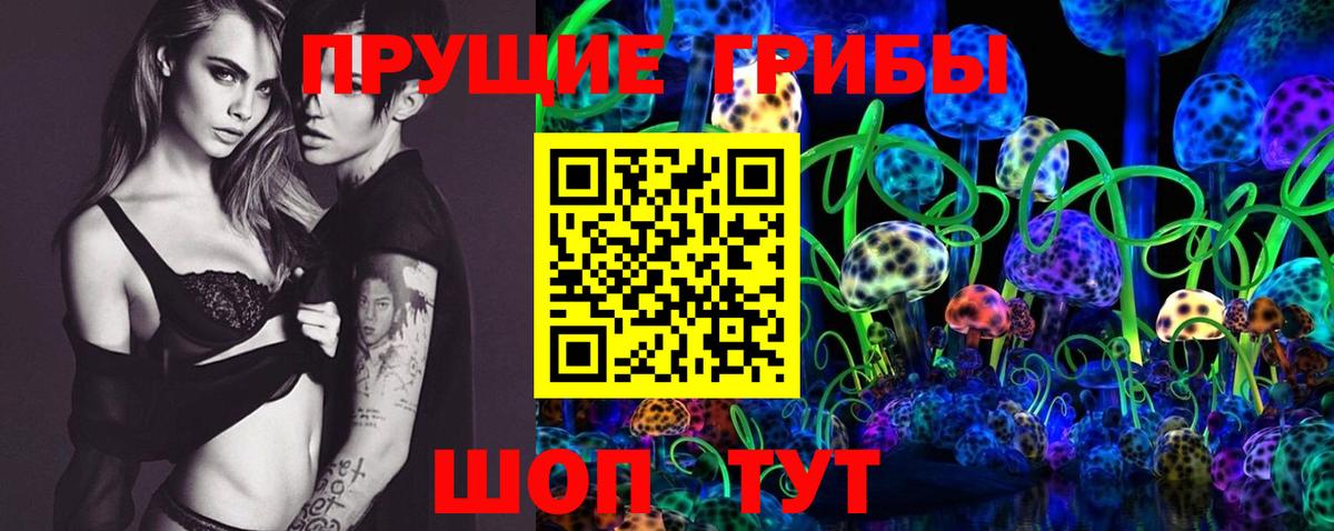 Псилоцибиновые грибы MAGIC MUSHROOMS Добрянка